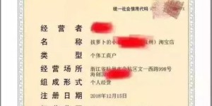 东莞营业执照怎么办理网上申请